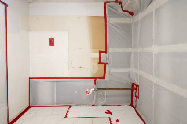 Best Emergency Mold Remediation  in Prairie Grove, AR